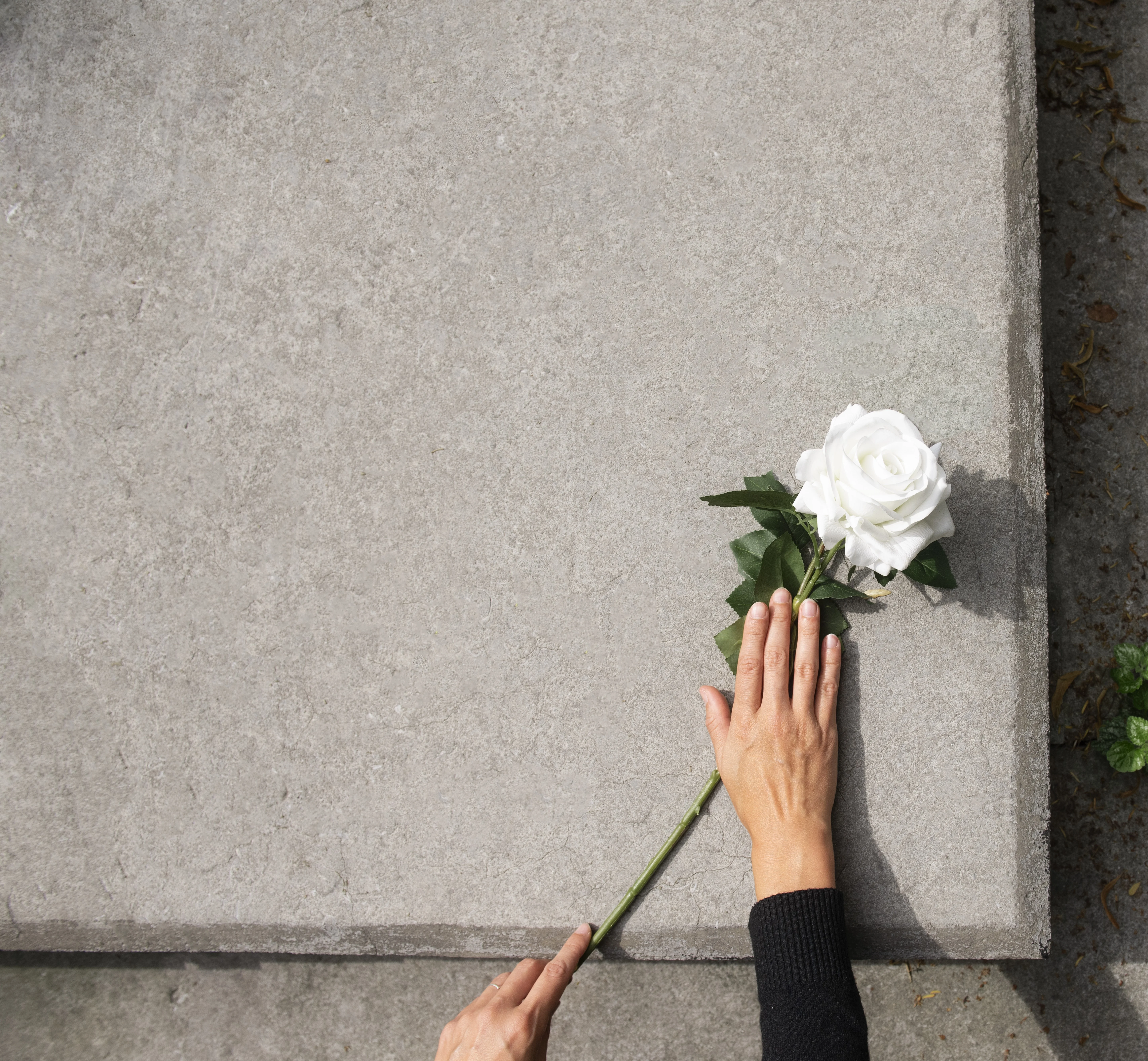 Cimetière français paisible avec tombes fleuries et arbres centenaires - Service entretien sépultures